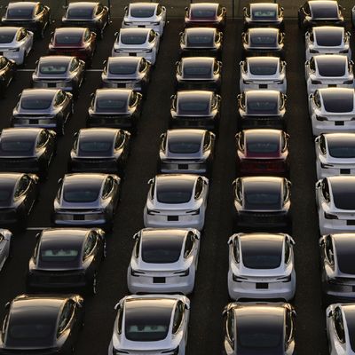 Tesla Avrupa’da Serbest Düşüşte