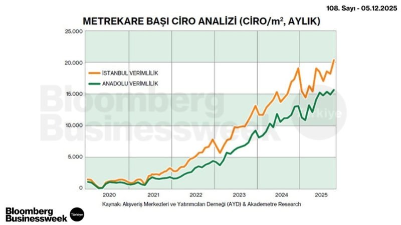 Metrekare Başı Ciro Analizi (Ciro/m², Aylık)
