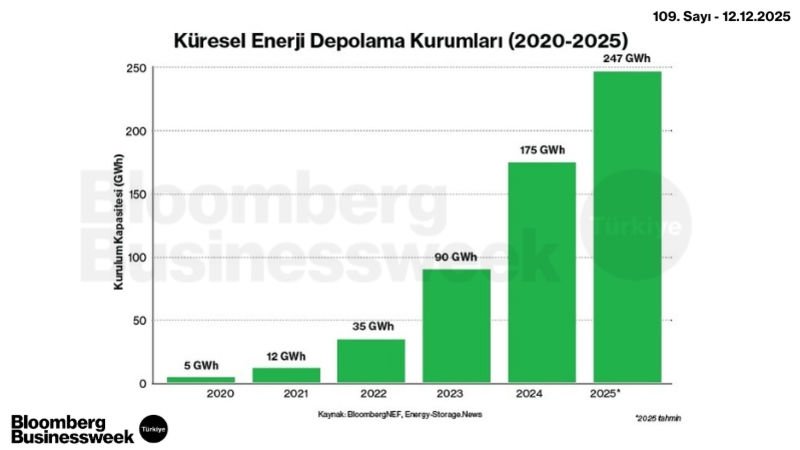 Küresel Enerji Depolama Kurumları (2020-2025)