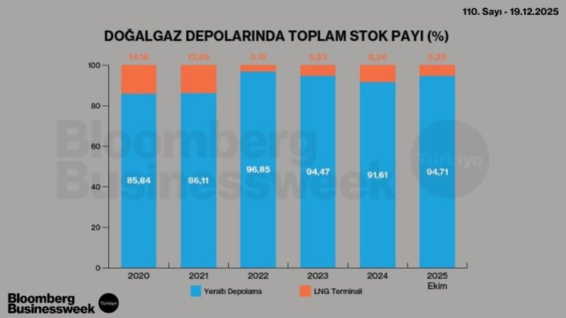 Doğalgaz Depolarında Toplam Stok Payı (%)