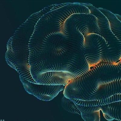 Birlikte Düşünmek: Ortak Akıl Üzerine