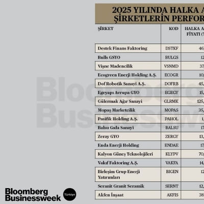 2025 Yılında Halka Arz Edilen Şirketlerin Performansları