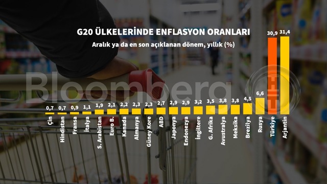 Grafiklerle Aralık enflasyonu