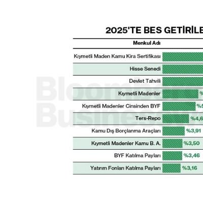 2025'te BES Getirilerinin Dağılımı