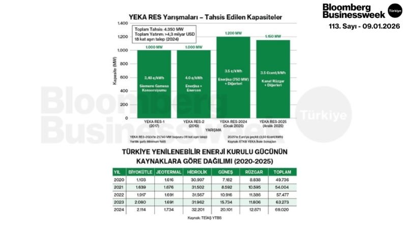 Türkiye Yenilenebilir Enerji Kurulu Gücünün Kaynaklara Göre Dağılım (2020-2025)