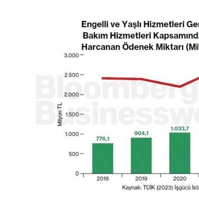 Engelli ve Yaşlı Hizmetleri Genel Müdürlüğü Yaşlı Bakım Hizmetleri Kapsamında Yıl Sonu İtibariyle Harcanan Ödenek Miktarı