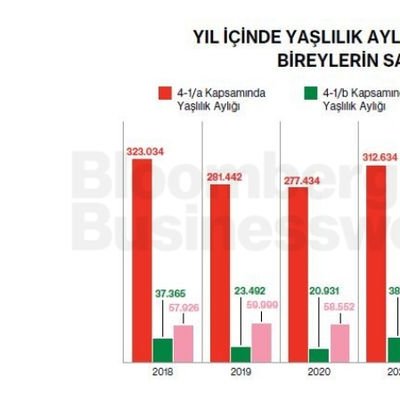 Yıl İçinde Yaşlılık Aylığı Bağlanan Bireylerin Sayısı