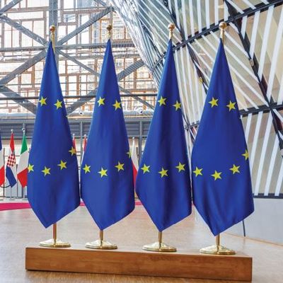 Avrupa Pazarının Duvarı Made in Europe İle Yükseliyor mu?