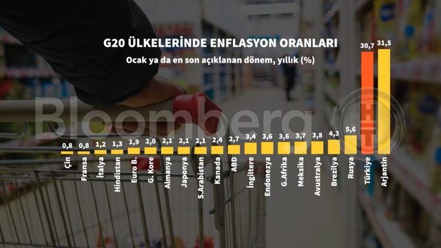 Grafiklerle Ocak enflasyonu