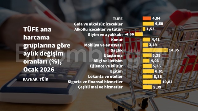 Grafiklerle Ocak enflasyonu