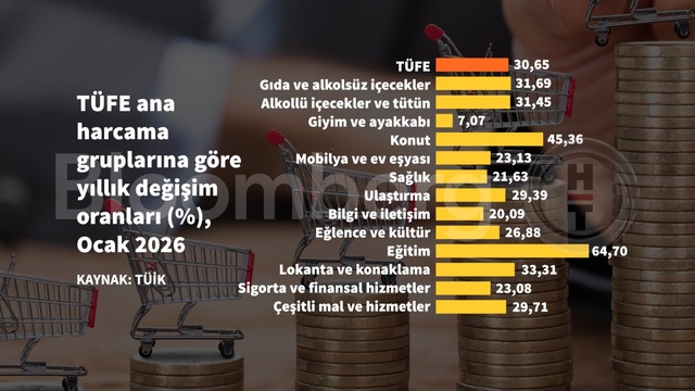 Grafiklerle Ocak enflasyonu