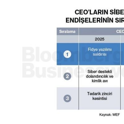Ceo'ların Siber Risk Endişelerinin Sıralaması