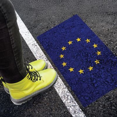 Türkiye-AB Gümrük Birliği’nin Modernizasyonu: AB Serbest Ticaret Anlaşmalarından Kaynaklanan Asimetrilerin Giderilmesi