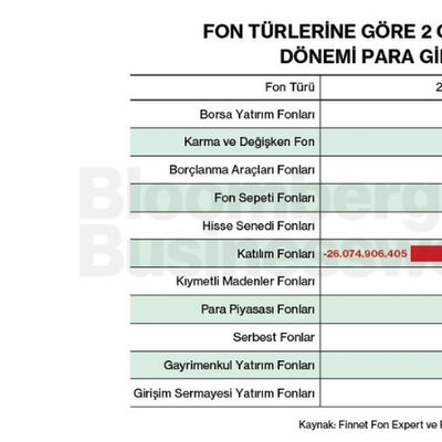 Fon Türlerine Göre 2 Ocak-10 Şubat Dönemi Para Girişleri