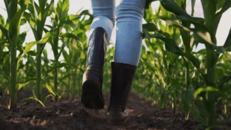 Ekmeğini Topraktan Çıkaran Kadınlar