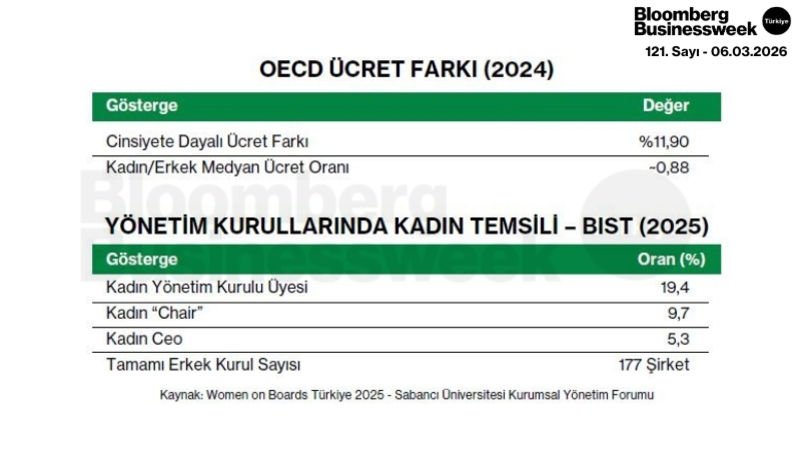 OECD Ücret Farkı (2024)/Yönetim Kurullarında Kadın Temsili - BIST (2025)