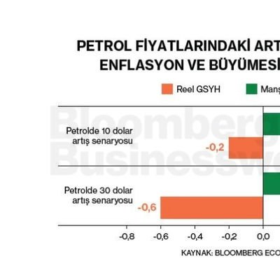 Petrol Fiyatlarındaki Artışın Euro Bölgesi Enflasyon ve Büyümesine Olası Etkisi