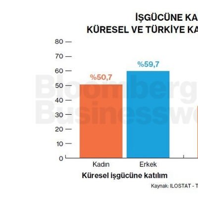İşgücüne Katılım Küresel ve Türkiye Karşılaştırması
