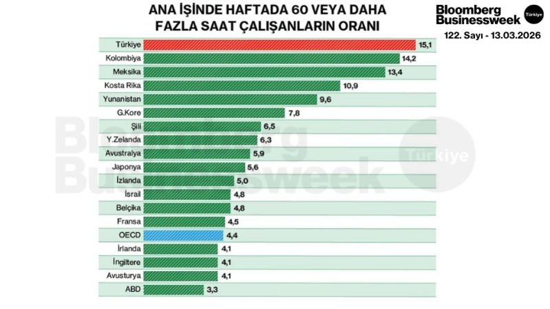 Ana İşinde Haftada 60 veya Daha Fazla Saat Çalışanların Oranı