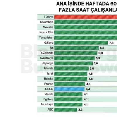 Ana İşinde Haftada 60 veya Daha Fazla Saat Çalışanların Oranı