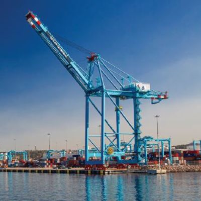 Limanların Görünmeyen Gelir Makinesi