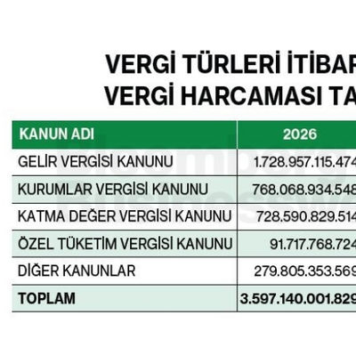 Vergi Türleri İtibarıyla Toplam Vergi Harcaması Tahminleri