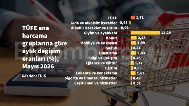 Grafiklerle Mayıs enflasyonu