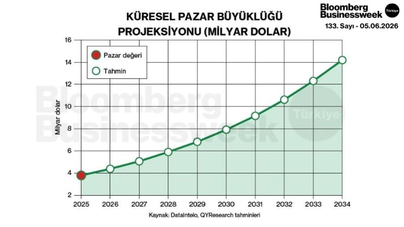 Küresel Pazar Büyüklüğü Projeksiyonu (Milyar Dolar)