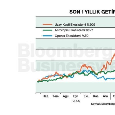 Son 1 Yıllık Getiriler (%)