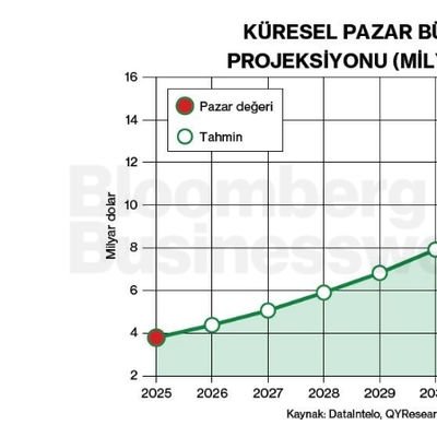 Küresel Pazar Büyüklüğü Projeksiyonu (Milyar Dolar)