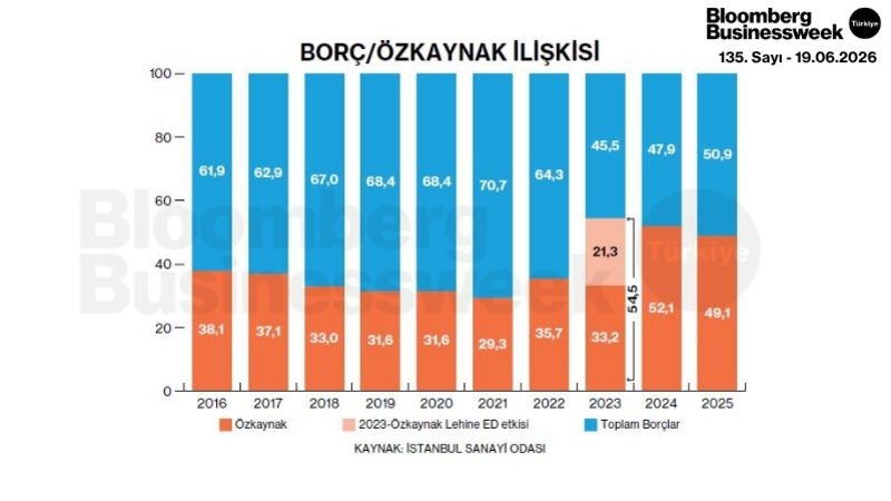 Borç/Özkaynak İlişkisi