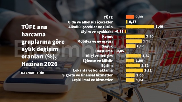 Grafiklerle Haziran enflasyonu