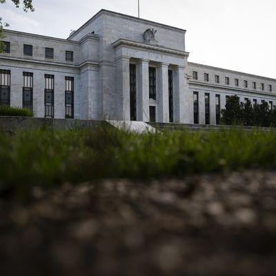 Fed'in Yeni A Takımı