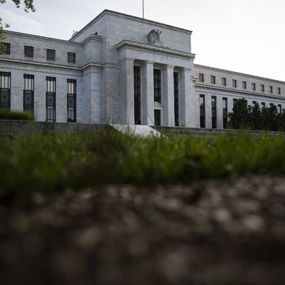 Fed'in Yeni A Takımı