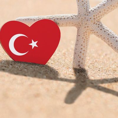 Türkiye’nin 1 Trilyon Dolarlık Pazarda Pay Arayışı