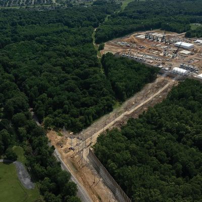 Veri Merkezi Patlamasının Beklenmedik Kazananları: Akustik Danışmanları