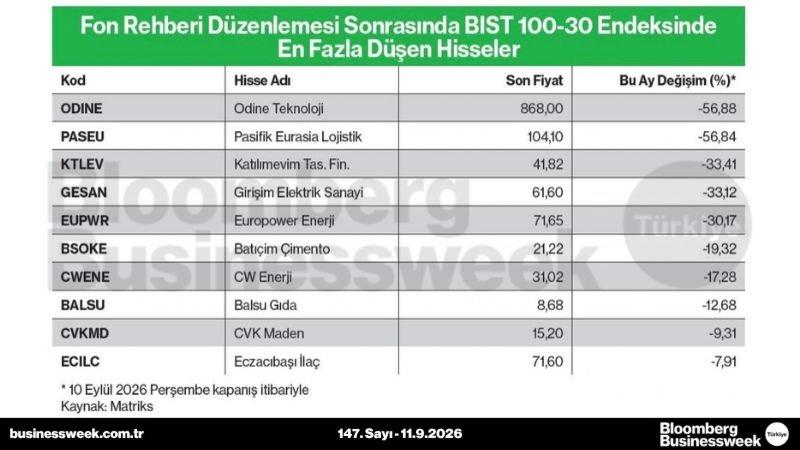Fon rehberi düzenlemesi sonrasında BIST 100-30 endeksinde en fazla düşen hisseler