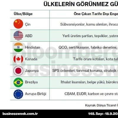 Ülkelerin görünmez gümrük duvarları