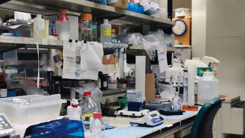 Pandemiyle İlgili Teoriler Gelecek Pandemiyi Daha Ağır Hale Getirebilir