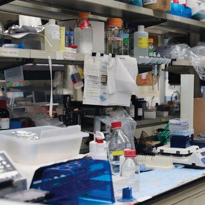 Pandemiyle İlgili Teoriler Gelecek Pandemiyi Daha Ağır Hale Getirebilir
