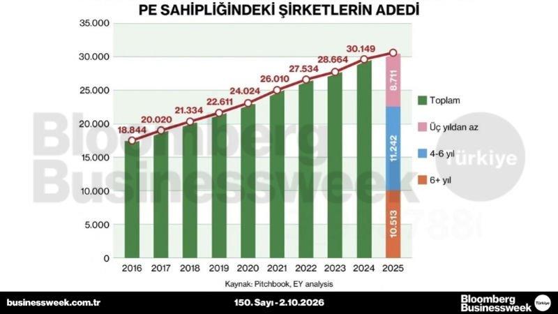 PE sahipliğindeki şirketlerin adedi