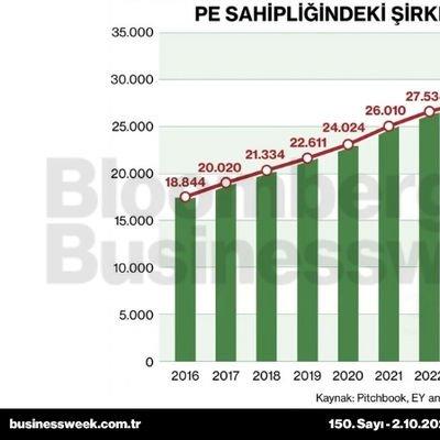 PE sahipliğindeki şirketlerin adedi