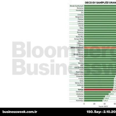OECD ev sahipliği oranları