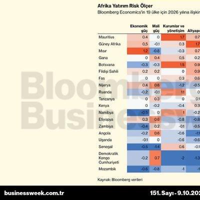 Afrika yatırım risk ölçer