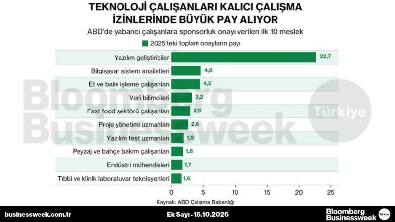 Teknoloji çalışanları kalıcı çalışma izinlerinde büyük pay alıyor