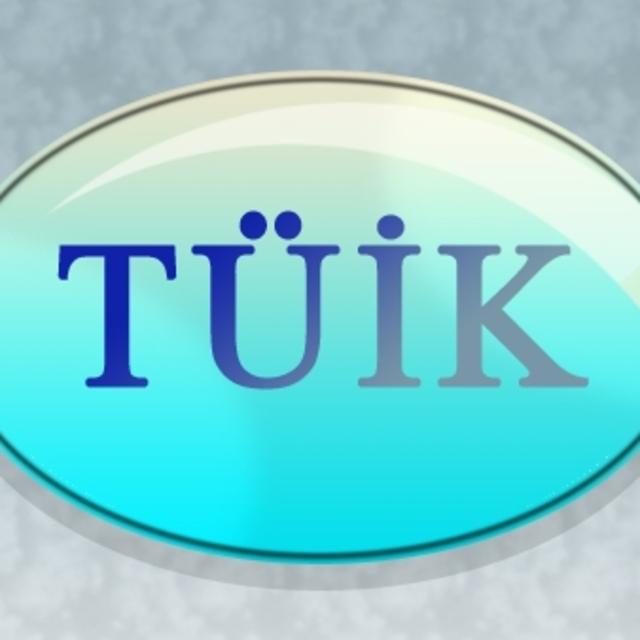 TÜİK'in web sitesi yenilendi - 13 yıl önce