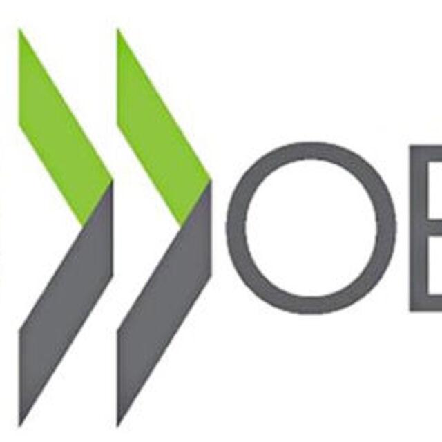 OECD: AMB ve BOJ ek teşvik düşünmeli - 12 yıl önce