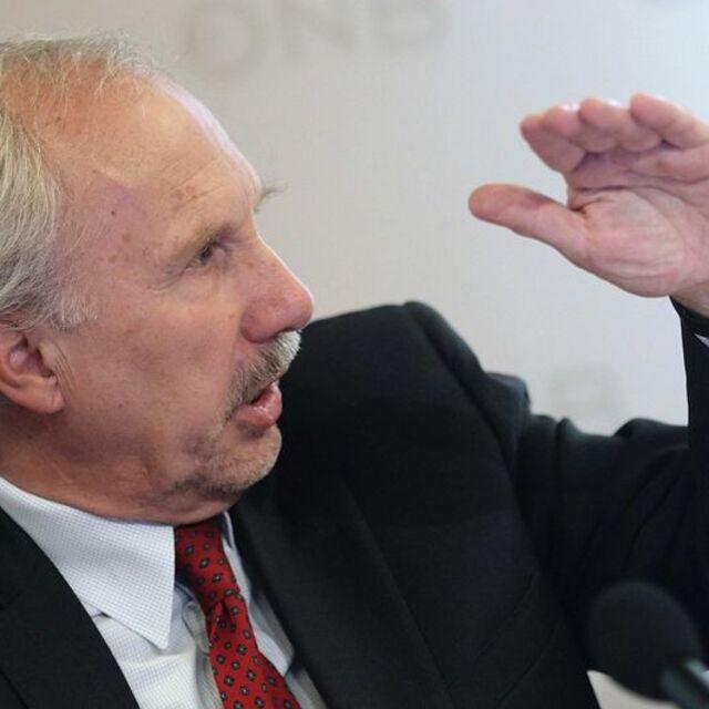 AMB/Nowotny: İlave teşviklere ihtiyaç yok - 12 yıl önce