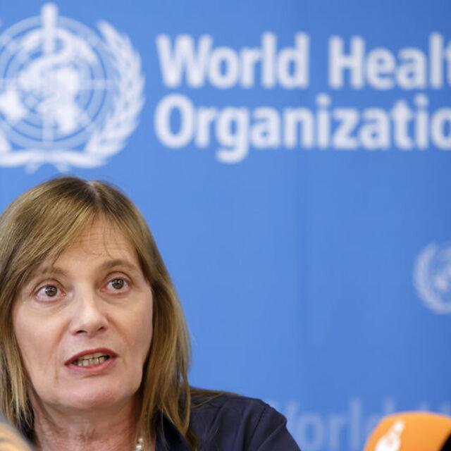 WHO: Ebola'da öncelikli tedavi hayatta kalanların kanı - 12 yıl önce