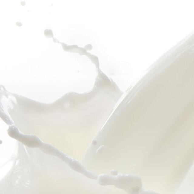 Ticari işletmelerin içme sütü üretimi geriledi - 11 yıl önce